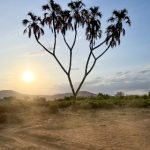 博九娱乐的热门游戏推荐与玩法解析 9xc3w