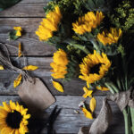 17090期开奖结果正式公布,大奖花落谁家引关注 1fq96p