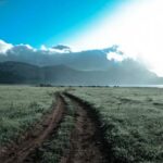 17079期开奖结果揭晓,幸运号码震撼出炉 22rihblmf1