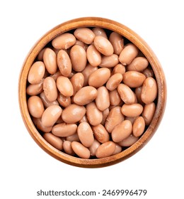 3d100期历史开奖号码完整记录与走势分析 3d100期历史开奖号码完整记录与走势分析