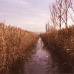 3d101期开奖结果最新公布,中奖号码全面揭晓 7yse630