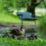 3d077期开奖结果最新公布,中奖号码全面揭晓 9kp76outcs