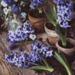 3d108期历史开奖号码详细回顾与全面数据分析 e04kz9v