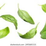 3d043期历史开奖结果完整数据汇总 f1b6u7zx8