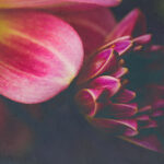 17073期足彩开奖结果揭晓:大奖花落谁家引关注 f7hxvtn