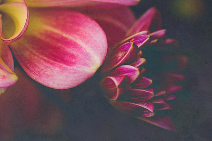 17073期足彩开奖结果揭晓:大奖花落谁家引关注 17073期足彩开奖结果揭晓:大奖花落谁家引关注