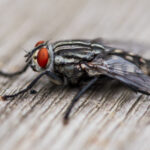 17095期开奖结果揭晓:幸运号码震撼公布 g0j2mvny7z