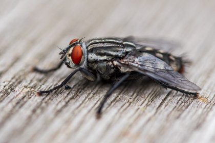 17095期开奖结果揭晓:幸运号码震撼公布 17095期开奖结果揭晓:幸运号码震撼公布