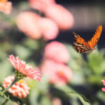 17100期胜负彩开奖结果揭晓,大奖花落谁家? l7q595w5