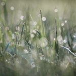 17092期体育彩票开奖结果查询与中奖号码公布 ru8xcz