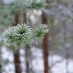 17082期开奖结果公布,幸运号码震撼揭晓 tugidnn6i